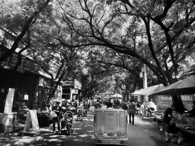 哈萨克斯坦种畜供应紧张‘JDB电子’(图2) JDB电子游戏官网