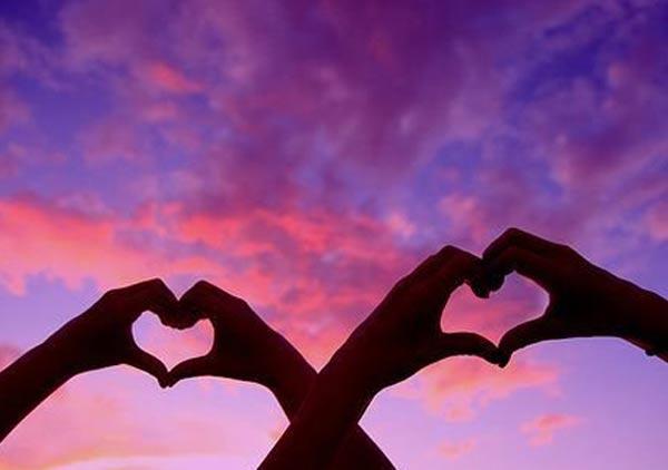 JDB电子游戏官网_世界顶级水平种猪场落户株洲(图3) JDB电子游戏官网