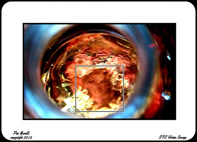 牛羊猪肉价格上涨约九成省市鸡蛋价格下降_JDB电子(图4) JDB电子试玩网页版