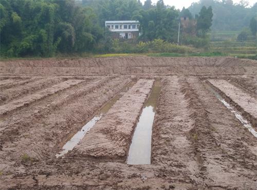 JDB电子试玩网页版