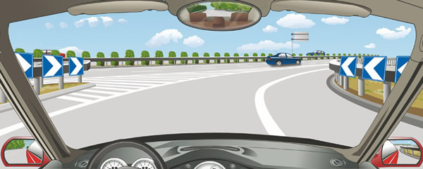 JDB电子-农业部：地震已造成四川152万头生猪死亡