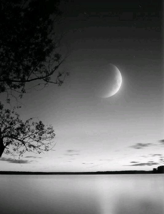 叶家社区迎来创建全国文明城市第四季度实地督查测评-JDB电子